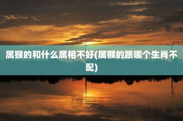 属猴的和什么属相不好(属猴的跟哪个生肖不配)