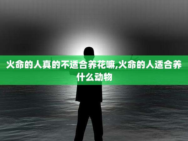 火命的人真的不适合养花嘛,火命的人适合养什么动物