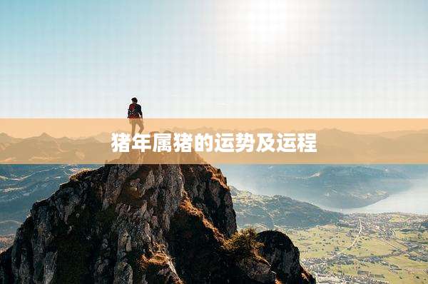 猪年属猪的运势及运程