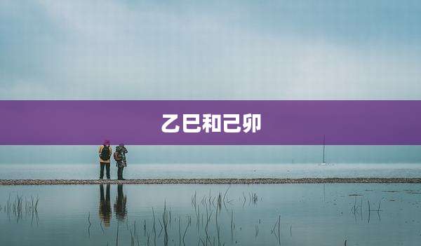 乙巳和己卯