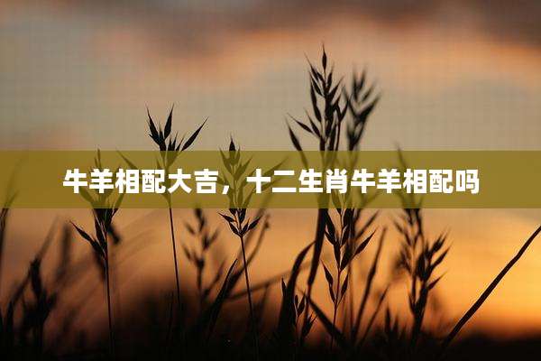牛羊相配大吉,十二生肖牛羊相配吗