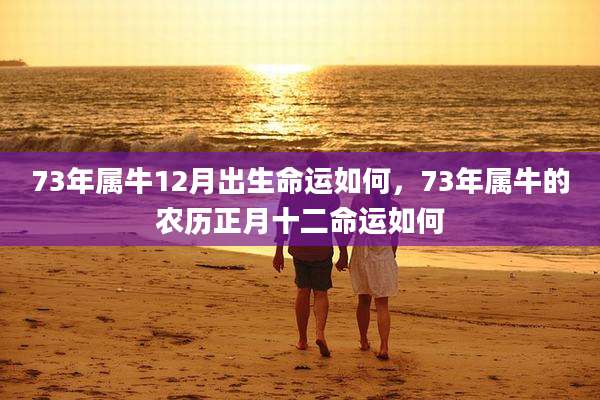 73年属牛12月出生命运如何，73年属牛的农历正月十二命运如何