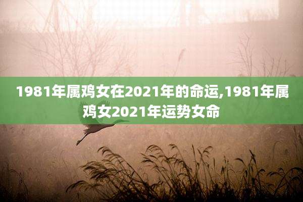 1981年属鸡女在2021年的命运,1981年属鸡女2021年运势女命