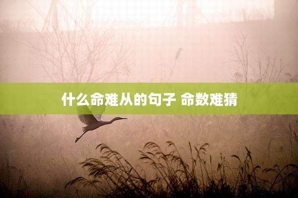 什么命难从的句子 命数难猜
