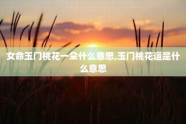 女命玉门桃花一朵什么意思,玉门桃花运是什么意思
