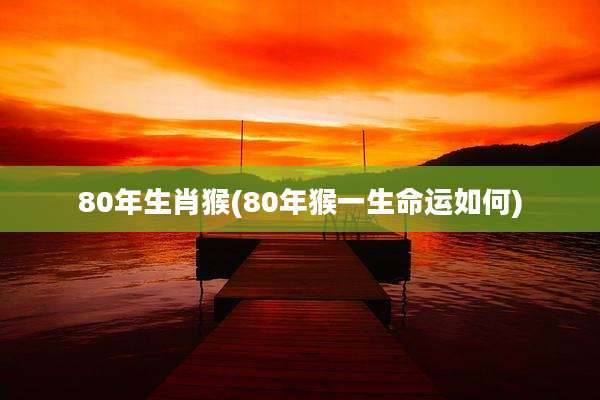 80年生肖猴(80年猴一生命运如何)