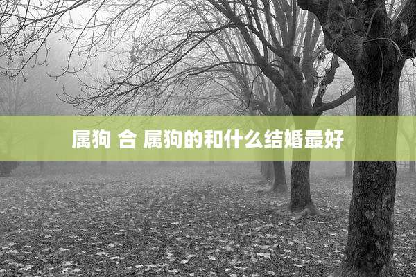 属狗 合 属狗的和什么结婚最好