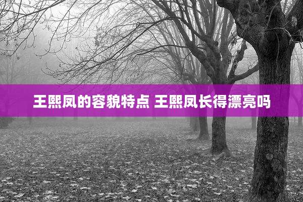 王熙凤的容貌特点 王熙凤长得漂亮吗