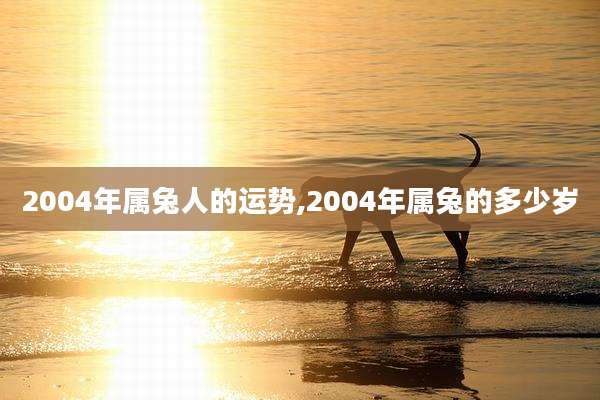 2004年属兔人的运势,2004年属兔的多少岁