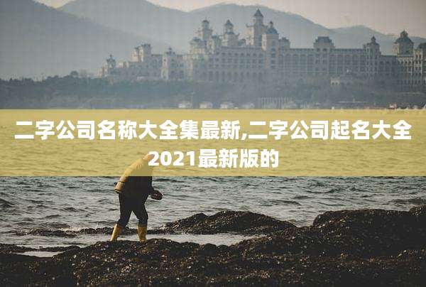 二字公司名称大全集最新,二字公司起名大全2021最新版的