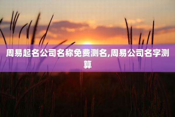 周易起名公司名称免费测名,周易公司名字测算