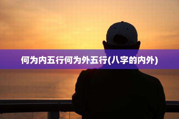 何为内五行何为外五行(八字的内外)