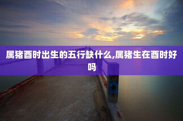 属猪酉时出生的五行缺什么,属猪生在酉时好吗