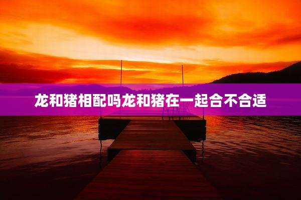 龙和猪相配吗龙和猪在一起合不合适