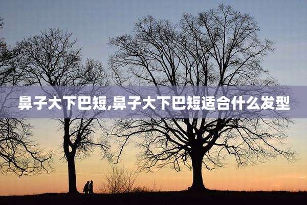 鼻子大下巴短,鼻子大下巴短适合什么发型