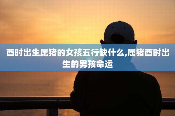酉时出生属猪的女孩五行缺什么,属猪酉时出生的男孩命运