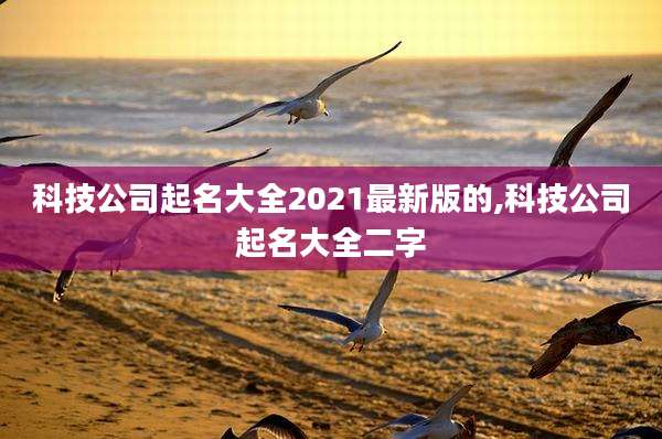 科技公司起名大全2021最新版的,科技公司起名大全二字