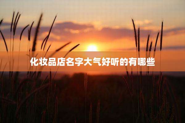 化妆品店名字大气好听的有哪些