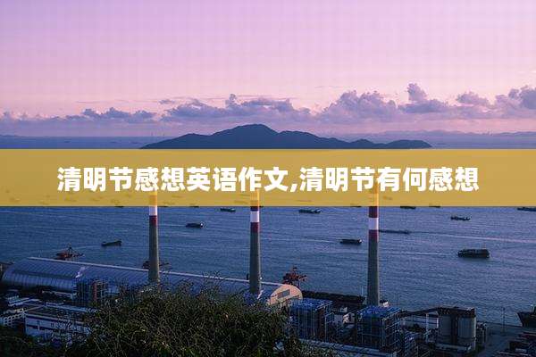 清明节感想英语作文,清明节有何感想