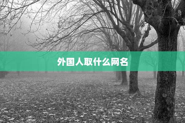 外国人取什么网名
