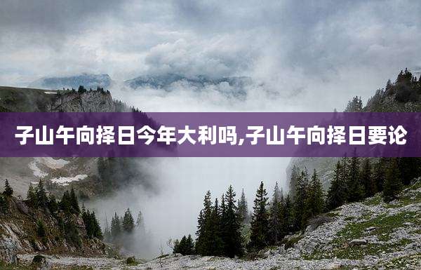 子山午向择日今年大利吗,子山午向择日要论
