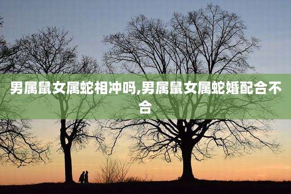 男属鼠女属蛇相冲吗,男属鼠女属蛇婚配合不合