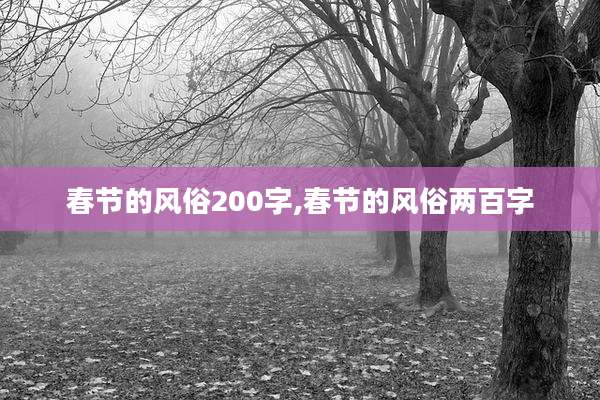 春节的风俗200字,春节的风俗两百字