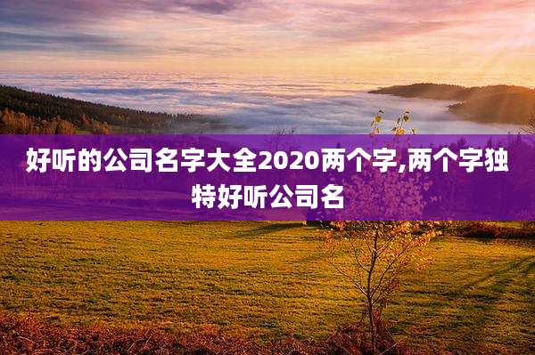 好听的公司名字大全2020两个字,两个字独特好听公司名