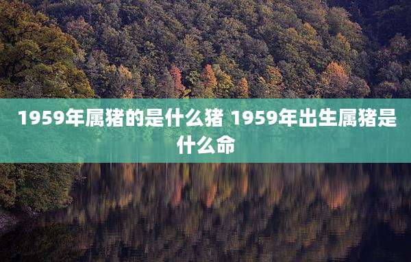 1959年属猪的是什么猪 1959年出生属猪是什么命