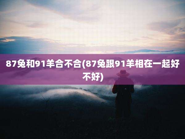 87兔和91羊合不合(87兔跟91羊相在一起好不好)