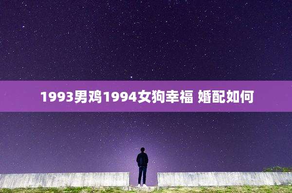 1993男鸡1994女狗幸福 婚配如何