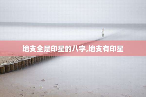 地支全是印星的八字,地支有印星