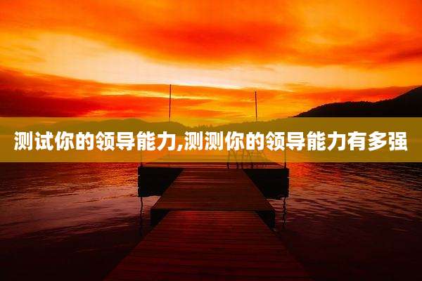 测试你的领导能力,测测你的领导能力有多强