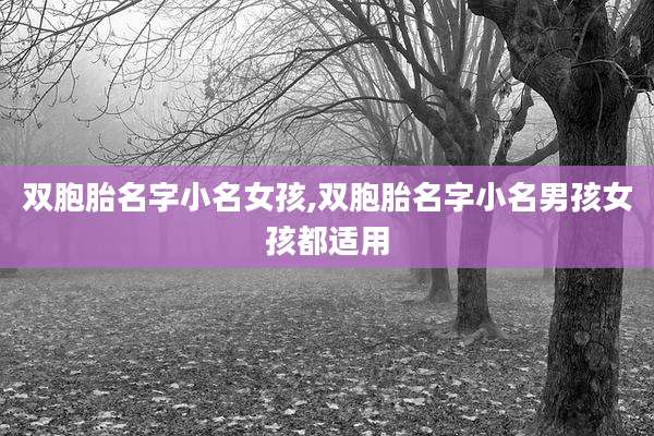 双胞胎名字小名女孩,双胞胎名字小名男孩女孩都适用