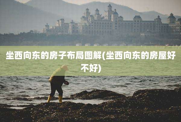坐西向东的房子布局图解(坐西向东的房屋好不好)