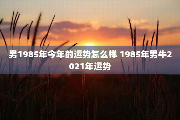 男1985年今年的运势怎么样 1985年男牛2021年运势