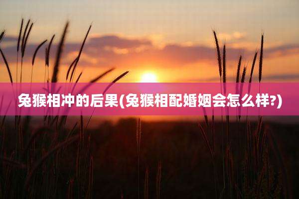 兔猴相冲的后果(兔猴相配婚姻会怎么样?)