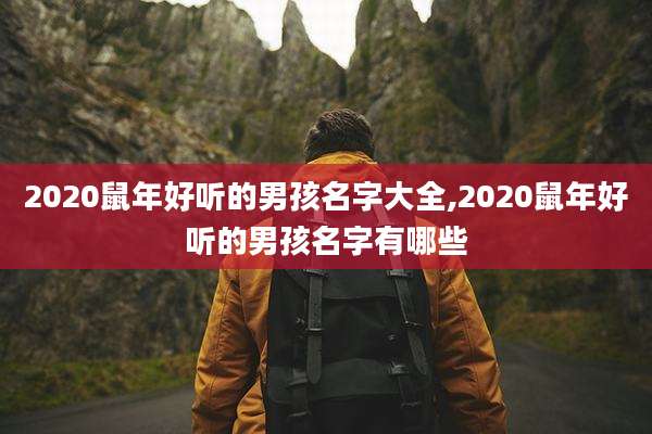 2020鼠年好听的男孩名字大全,2020鼠年好听的男孩名字有哪些