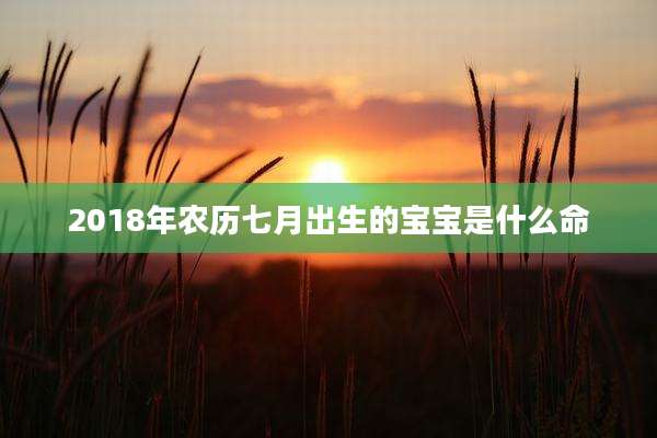 2018年农历七月出生的宝宝是什么命