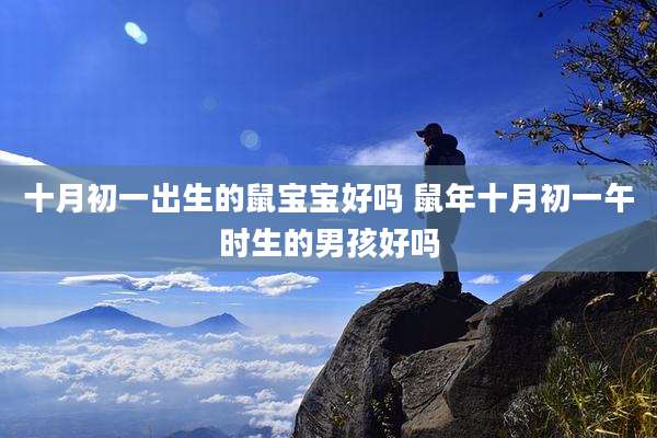 十月初一出生的鼠宝宝好吗 鼠年十月初一午时生的男孩好吗