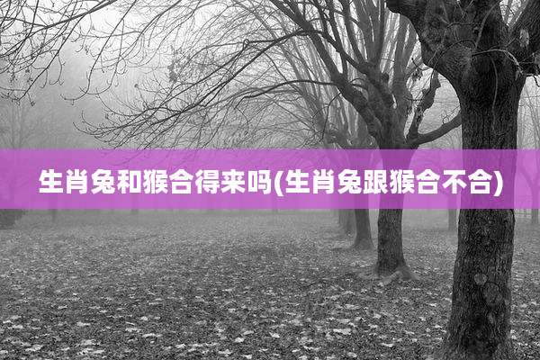 生肖兔和猴合得来吗(生肖兔跟猴合不合)