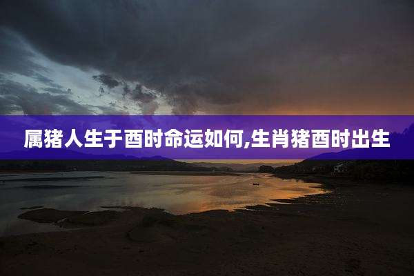 属猪人生于酉时命运如何,生肖猪酉时出生