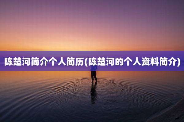 陈楚河简介个人简历(陈楚河的个人资料简介)
