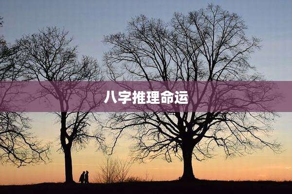 八字推理命运