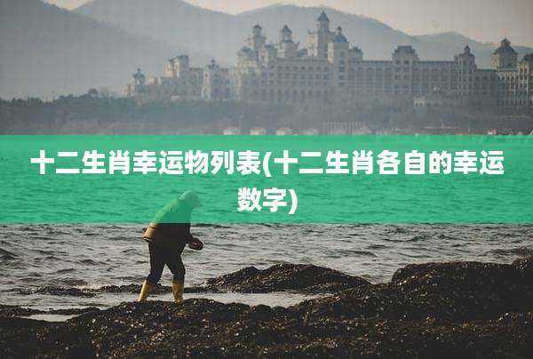 十二生肖幸运物列表(十二生肖各自的幸运数字)