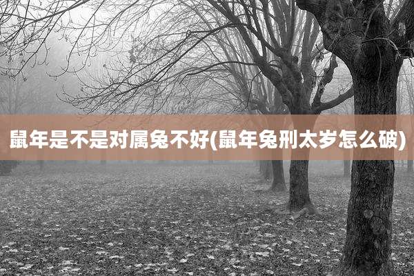 鼠年是不是对属兔不好(鼠年兔刑太岁怎么破)