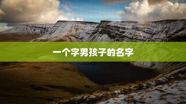 一个字男孩子的名字