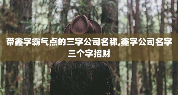 带鑫字霸气点的三字公司名称,鑫字公司名字三个字招财