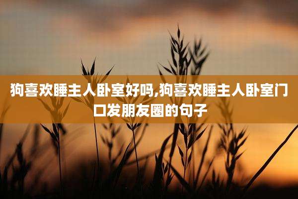 狗喜欢睡主人卧室好吗,狗喜欢睡主人卧室门口发朋友圈的句子
