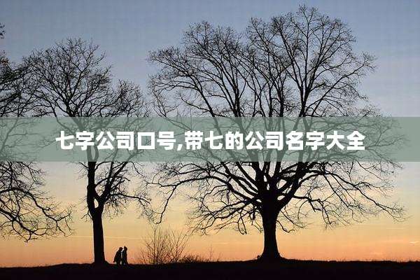 七字公司口号,带七的公司名字大全